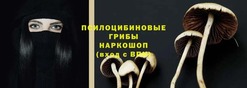 купить наркоту  Гудермес  Галлюциногенные грибы ЛСД 